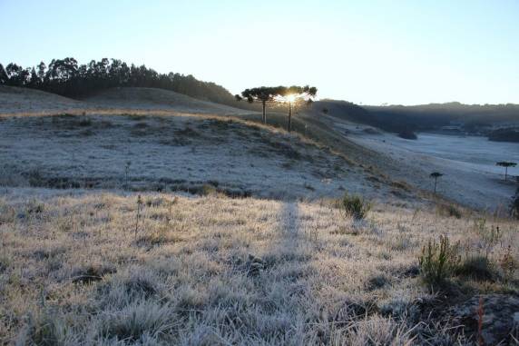 SC registra geada e temperaturas negativas; Bom
Jardim da Serra marca mínima de -3,9°C - foto 6