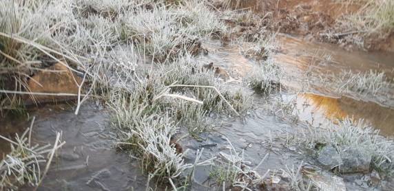 SC registra geada e temperaturas negativas; Bom
Jardim da Serra marca mínima de -3,9°C - foto 4