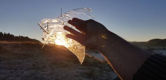 SC registra geada e temperaturas negativas; Bom
Jardim da Serra marca mínima de -3,9°C - foto 2