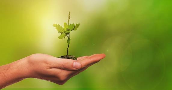 Inauguração oficial do primeiro Eco Ponto de Três de Maio será destaque na programação