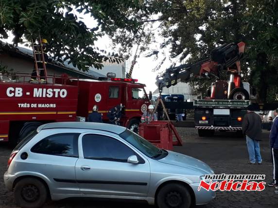 VÍDEO: bombeiros resgatam mulher que subiu em árvore em
Três de Maio - foto 2