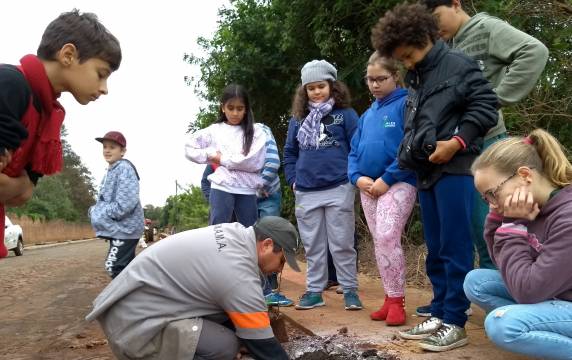 Diversas espécies frutíferas nativas foram plantadas durante a Semana do Meio Ambiente