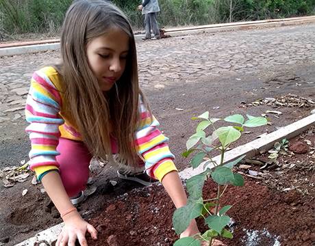 Prefeitura realiza plantio
de 300 mudas - foto 6