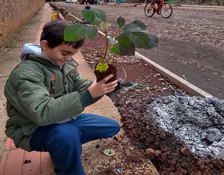 Prefeitura realiza plantio
de 300 mudas - foto 5