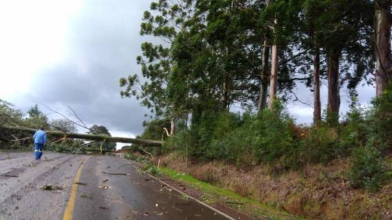 Em dia de temporais, Passo Fundo registra estragos e vento de 86km/h - foto 7