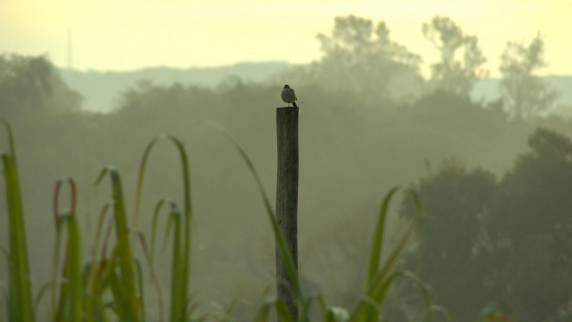 RS registra temperaturas negativas e geada nesta sexta-feira - foto 3