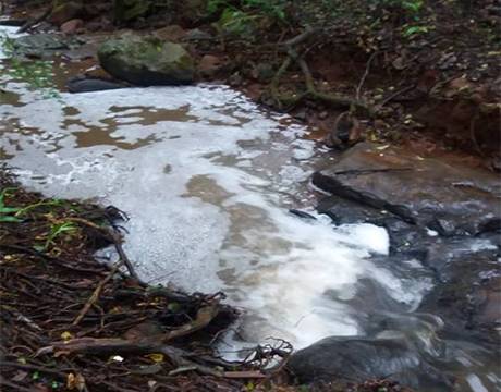 Suspeitas de contaminação em riacho na
localidade de Nossa Senhora do Carmo, interior de Três de Maio - foto 4