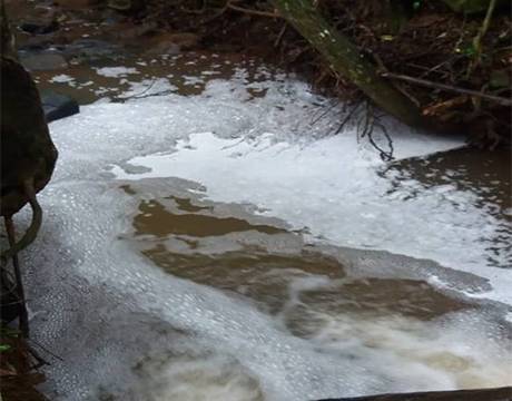 Suspeitas de contaminação em riacho na
localidade de Nossa Senhora do Carmo, interior de Três de Maio - foto 5