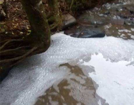 Suspeitas de contaminação em riacho na
localidade de Nossa Senhora do Carmo, interior de Três de Maio - foto 3