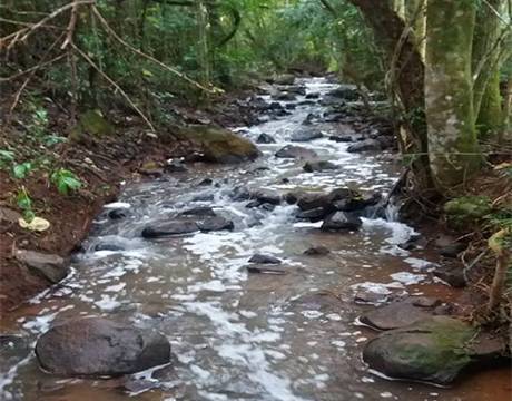 Suspeitas de contaminação em riacho na
localidade de Nossa Senhora do Carmo, interior de Três de Maio - foto 2