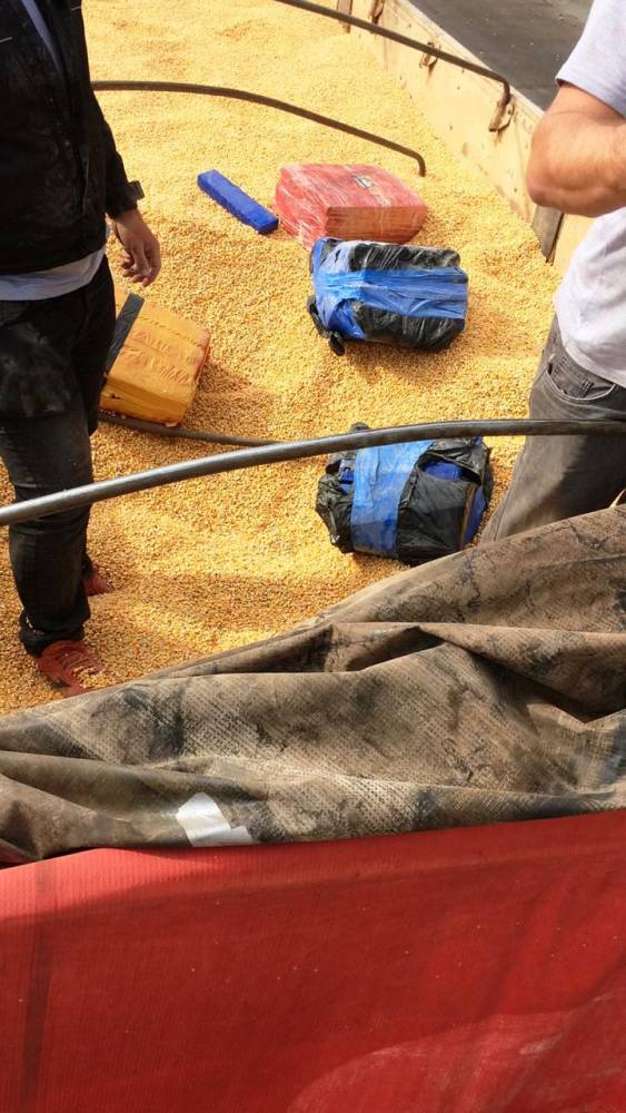 Ação conjunta PRF, PM e PF apreende carreta com mais 

de cinco toneladas de maconha na BR 470 em Rio do Sul - foto 2