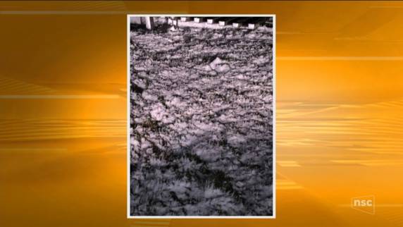 Acúmulo de neve é registrado em SC pela pela
primeira vez em 2018 - foto 3