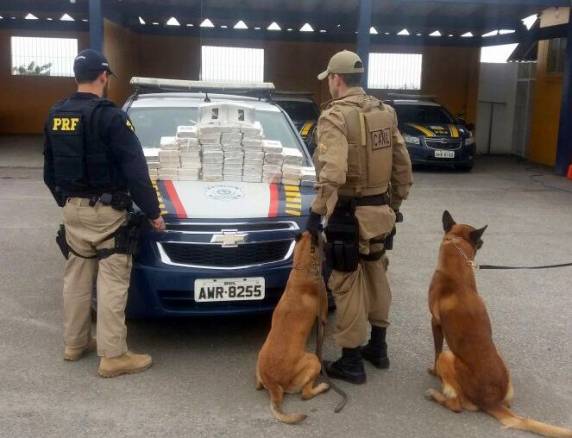 Mais de 60 quilos de cocaína é
descoberta em painel de SUV importada e homem é preso na BR 101 em Itapema - foto 2