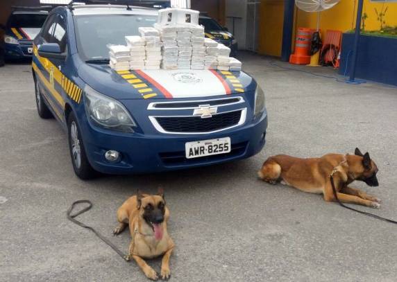 Mais de 60 quilos de cocaína é
descoberta em painel de SUV importada e homem é preso na BR 101 em Itapema - foto 3