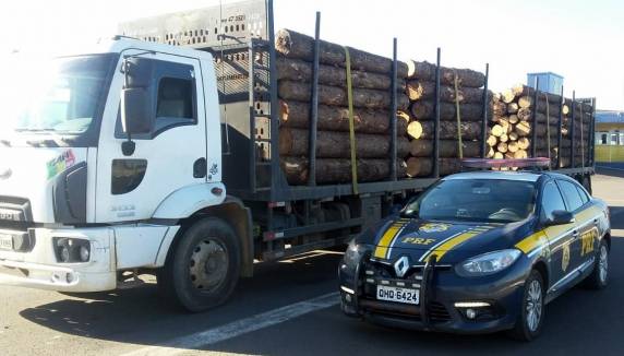 PRF flagra mais de 33 toneladas de excesso de peso em quatro caminhões na BR 101 em Araranguá - foto 4