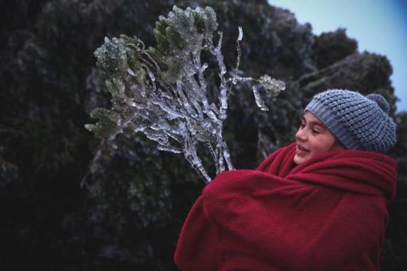 Santa Catarina tem sincelo e sensação térmica de 5,4°C negativos - foto 2