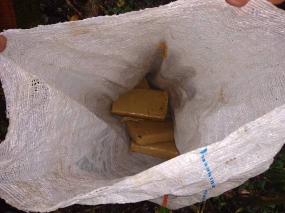 Brigada Militar apreende tabletes de maconha que estavam escondidos num mato, em Alecrim - foto 3