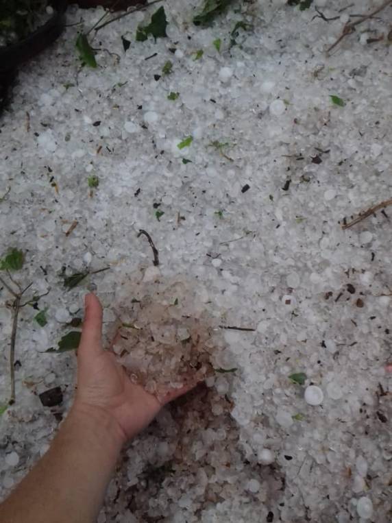 Granizo causa estragos em pelo menos
50 casas em Coronel Bicaco, no Noroeste - foto 3