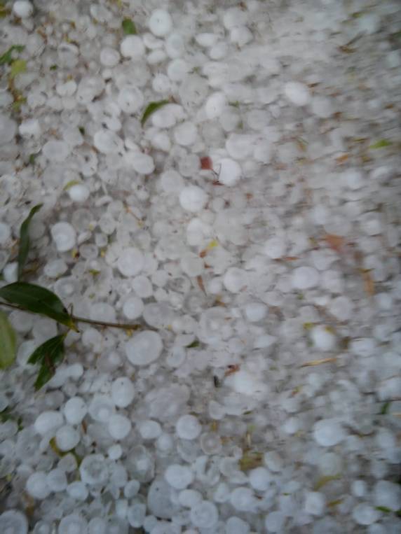 Granizo causa estragos em pelo menos
50 casas em Coronel Bicaco, no Noroeste - foto 5