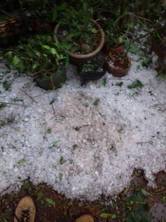 Granizo causa estragos em pelo menos
50 casas em Coronel Bicaco, no Noroeste - foto 4