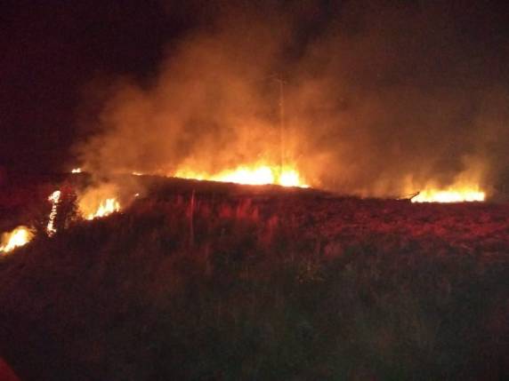 Incêndio em mato é registrado às margens da BR 386, em Soledade - foto 3