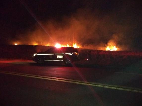Incêndio em mato é registrado às margens da BR 386, em Soledade - foto 2