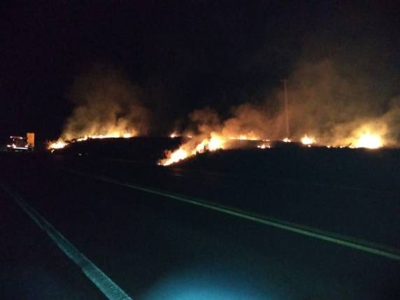 Incêndio em mato é registrado às margens da BR 386, em Soledade - foto 5