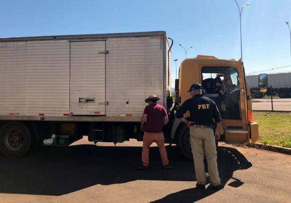 PRF apreende caminhão com
4 toneladas de camarão e três mil latas de energéticos contrabandeados no oeste catarinense - foto 2