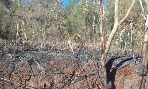Propriedade rural é alvo de incêndio criminoso no
interior de Independência - foto 2