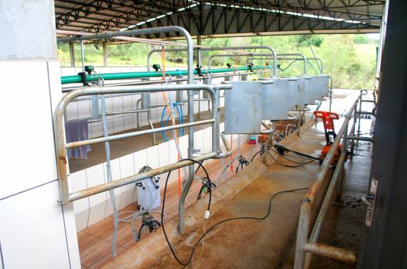 Composto Barn e a produtividade leiteira - foto 3