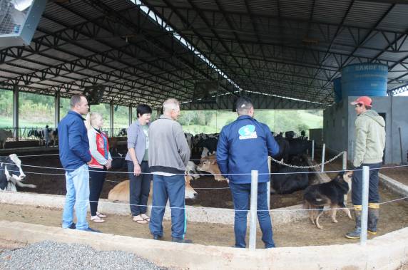 Composto Barn e a produtividade leiteira - foto 5