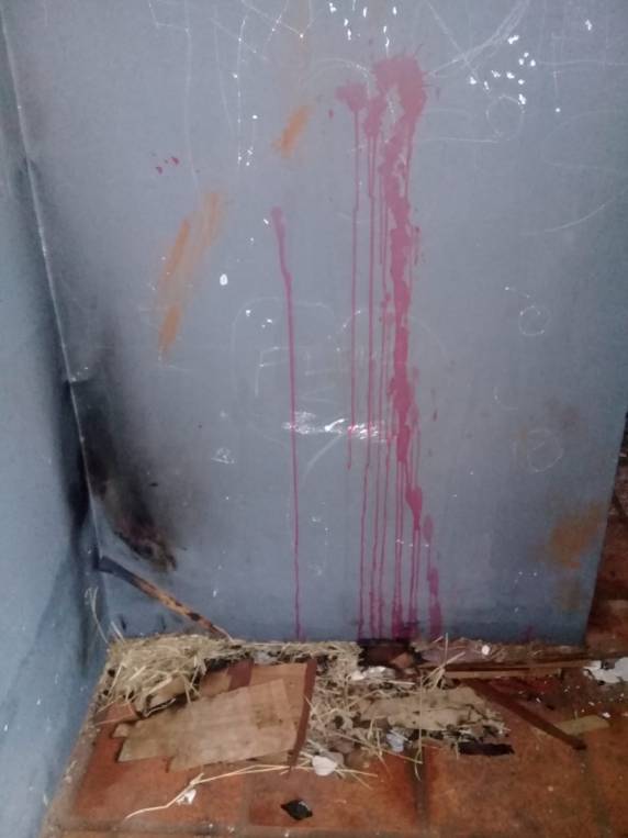 Vândalos danificam banheiros da quadra do bairro
Cohab, em Três de Maio - foto 5