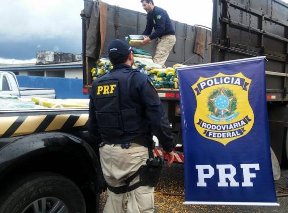 Ação conjunta PRF e PF apreende mais de 800 quilos de maconha escondida sob carga de milho no planalto
catarinense - foto 5