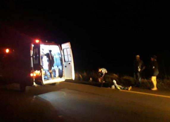 Motociclista fica ferido após colidir em animal
silvestre na ERS 168, em São Luiz Gonzaga - foto 3