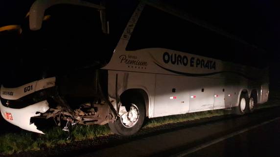 Torcedores morrem em acidente na volta do Gre-Nal - foto 2