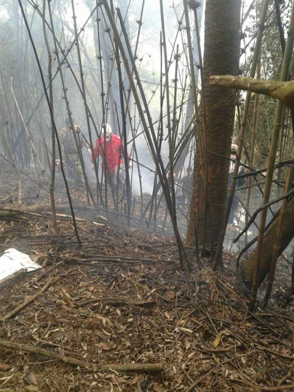 Avião de pequeno porte cai e pega fogo no Oeste de SC - foto 4