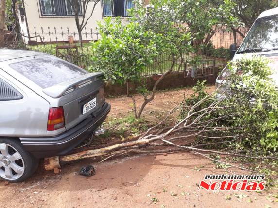Motorista perde o controle de veículo bate em árvore e para 

próximo de uma casa, em Três de Maio - foto 5