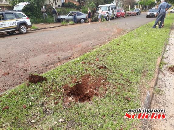 Motorista perde o controle de veículo bate em árvore e para 

próximo de uma casa, em Três de Maio - foto 4