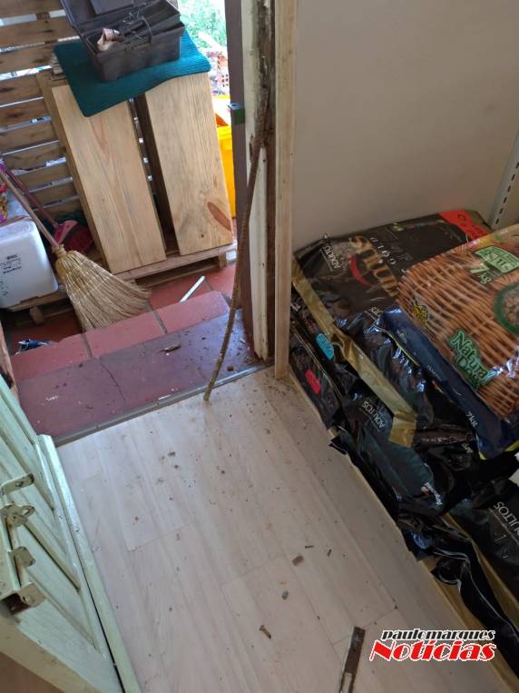 Loja Agroveterinária é arrombada em Três de Maio - foto 3