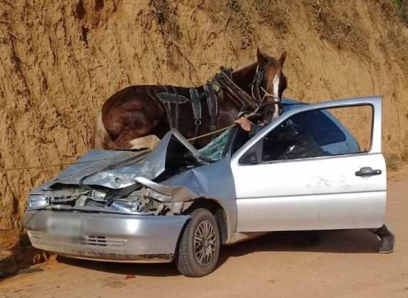 Duas mulheres, um 

homem e uma criança foram prensados por animal que estava desgovernado conduzindo carroça em Canelinha, na Grande Florianópolis
