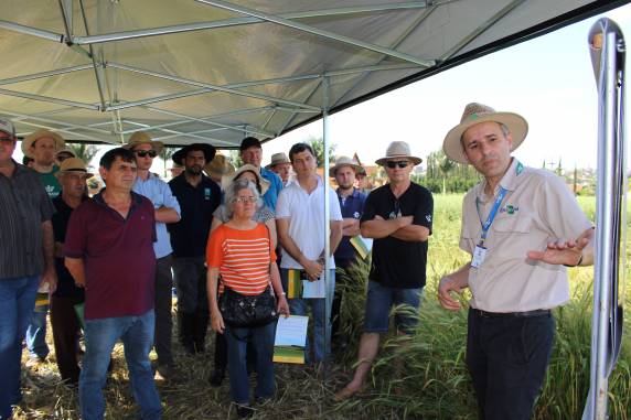 Dia de Campo 

na Setrem trouxe novas oportunidades aos produtores para as culturas de inverno