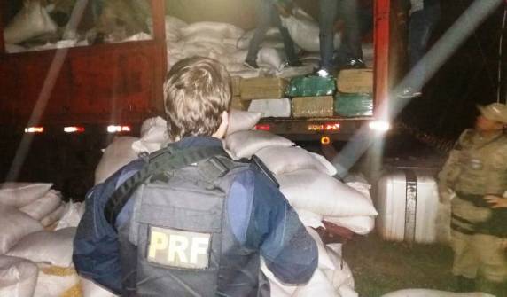 Ação conjunta PRF e PM faz em Itajaí a maior apreensão de maconha já realizada em Santa Catarina - foto 2