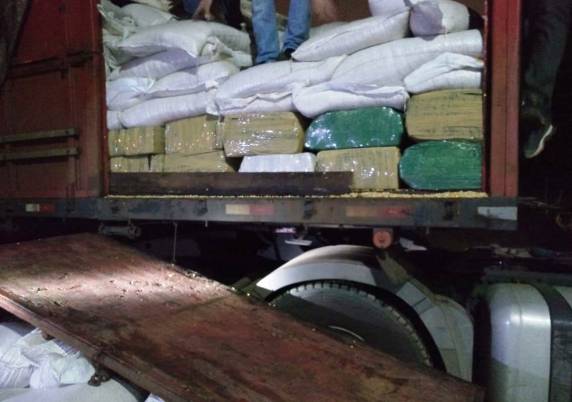 Ação conjunta PRF e PM faz em Itajaí a maior apreensão de maconha já realizada em Santa Catarina - foto 4