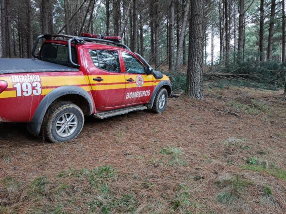 Acidente ocorreu em Lages. Colega da vítima chamou bombeiros