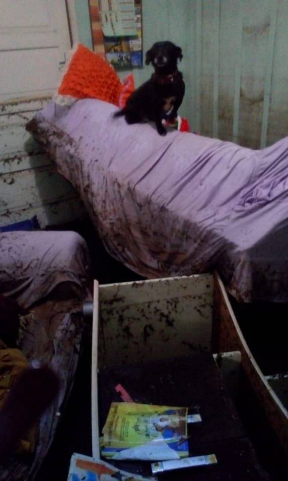 Enchentes atingem 3 vezes cidade do Oeste de SC em duas semanas - foto 3
