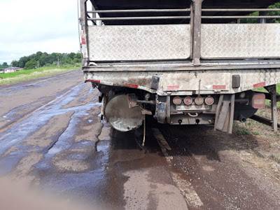 Acidente na ERS 587 em Cristal do Sul envolve dois caminhões de Santa Catarina - foto 2