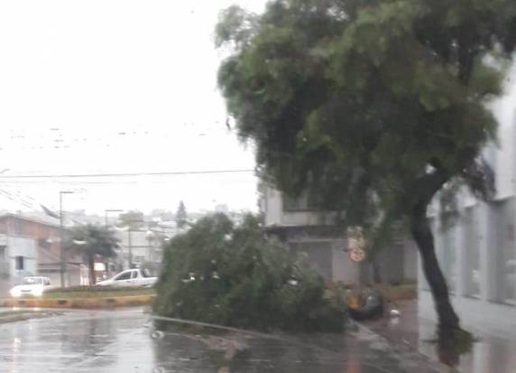 Chuva e
granizo provocam estragos em SC; cidades do Oeste têm rodovias interditadas e falta de luz - foto 2