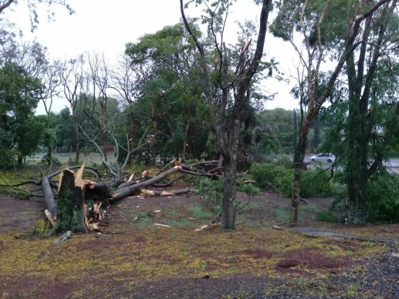 Vendaval localizado deixa rastro de destruição no interior de
Horizontina - foto 5