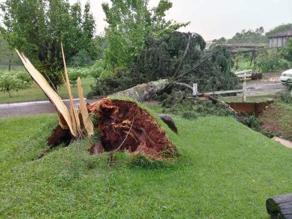 Vendaval localizado deixa rastro de destruição no interior de
Horizontina - foto 6