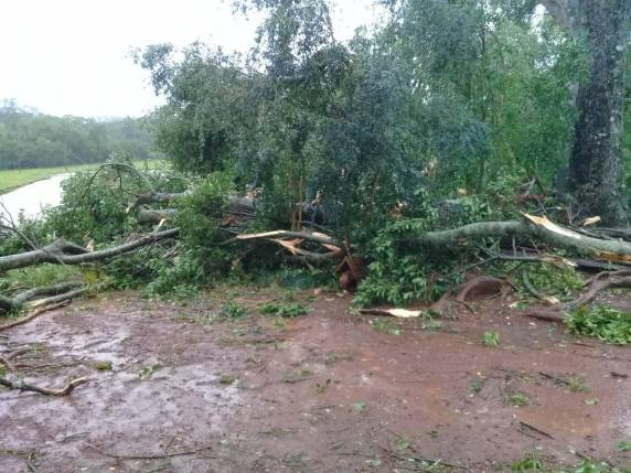 Vendaval localizado deixa rastro de destruição no interior de
Horizontina - foto 7